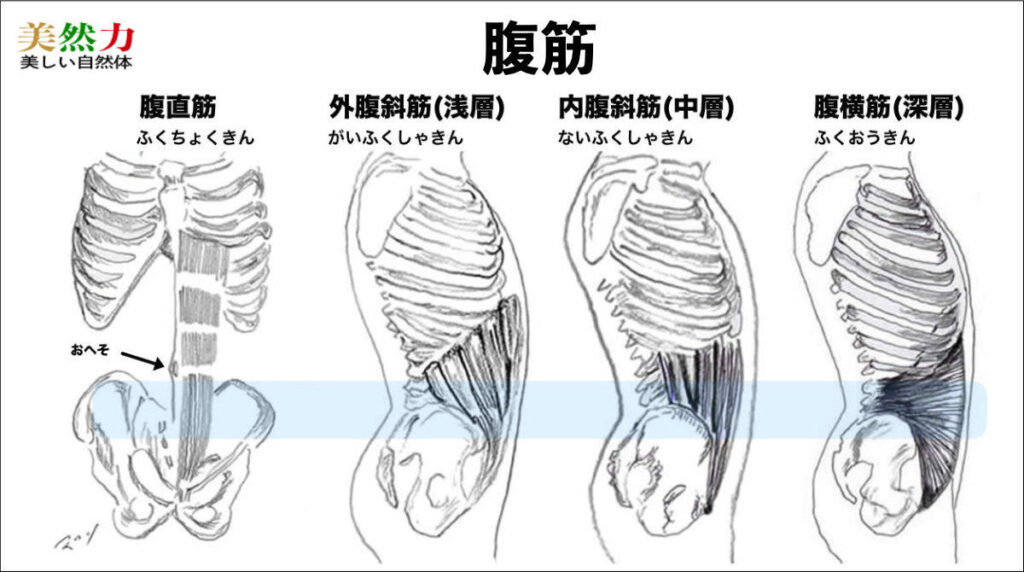 腹筋