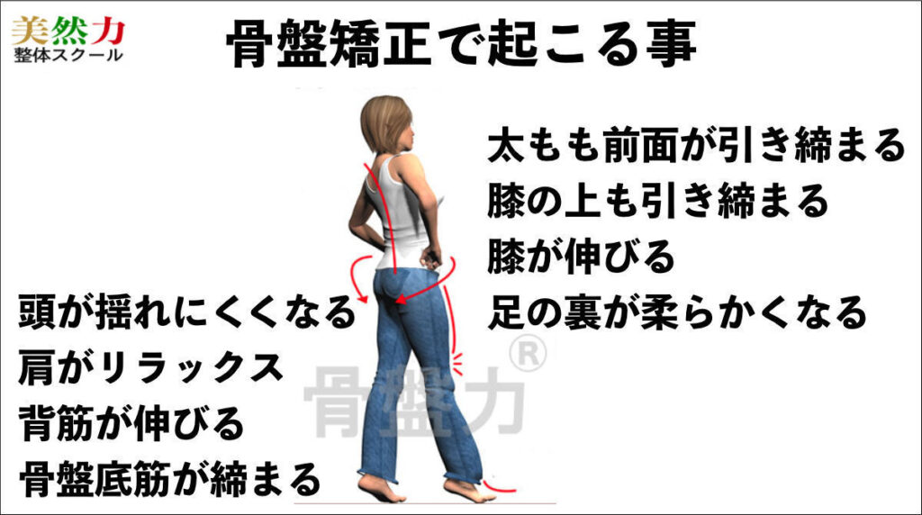 骨盤