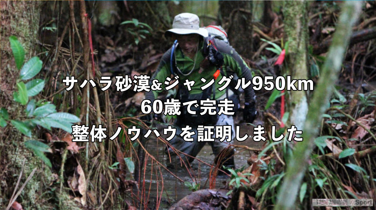 ジャングル