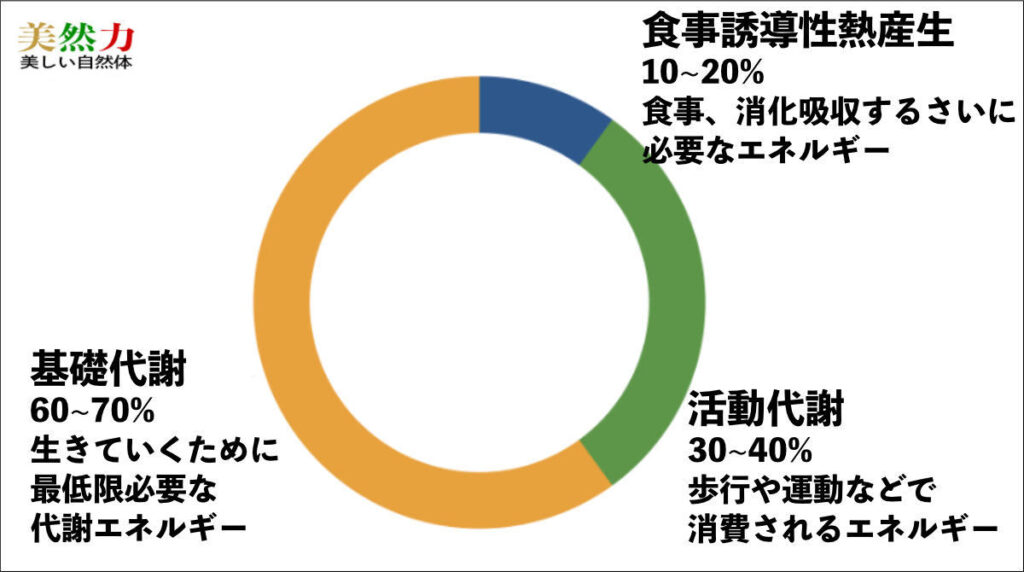 ダイエット