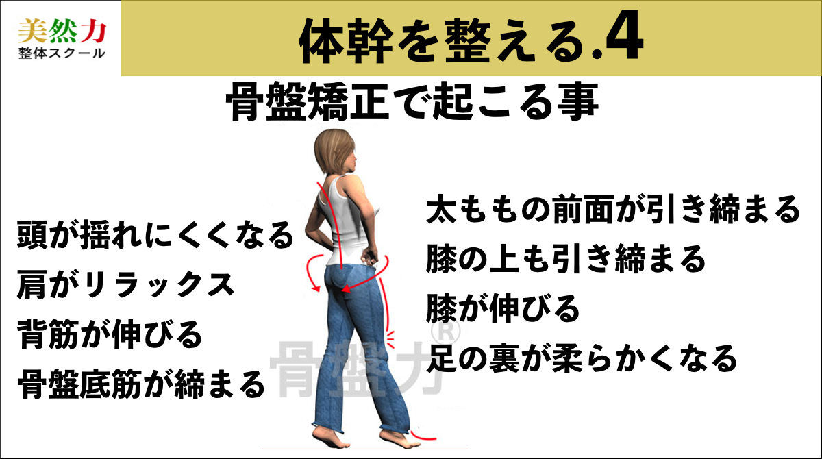 体幹