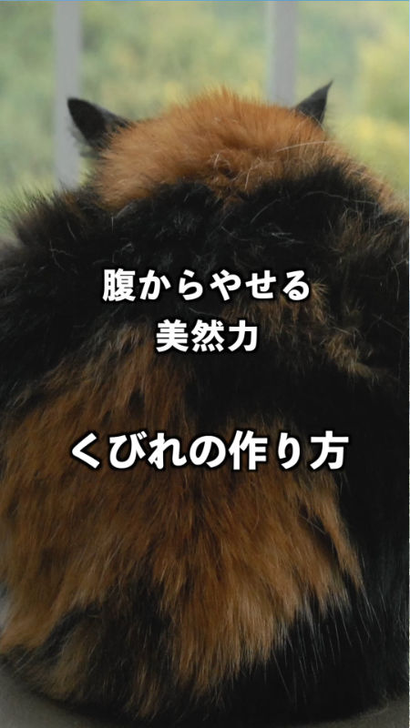 腹からやせる美然治癒力®