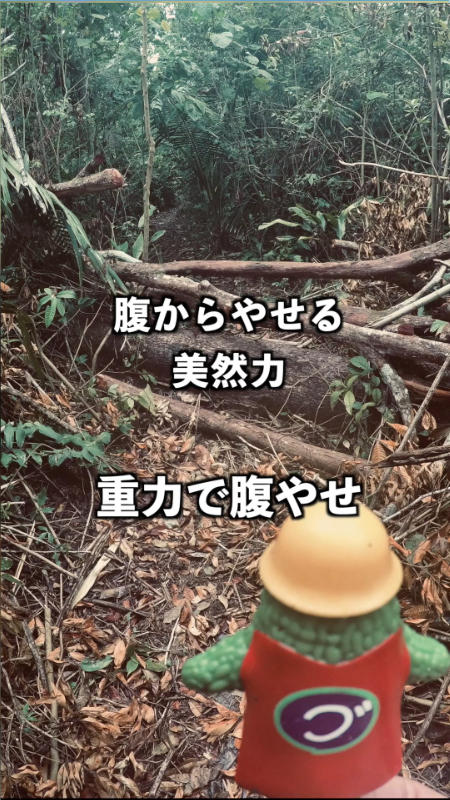 くびれダイエット