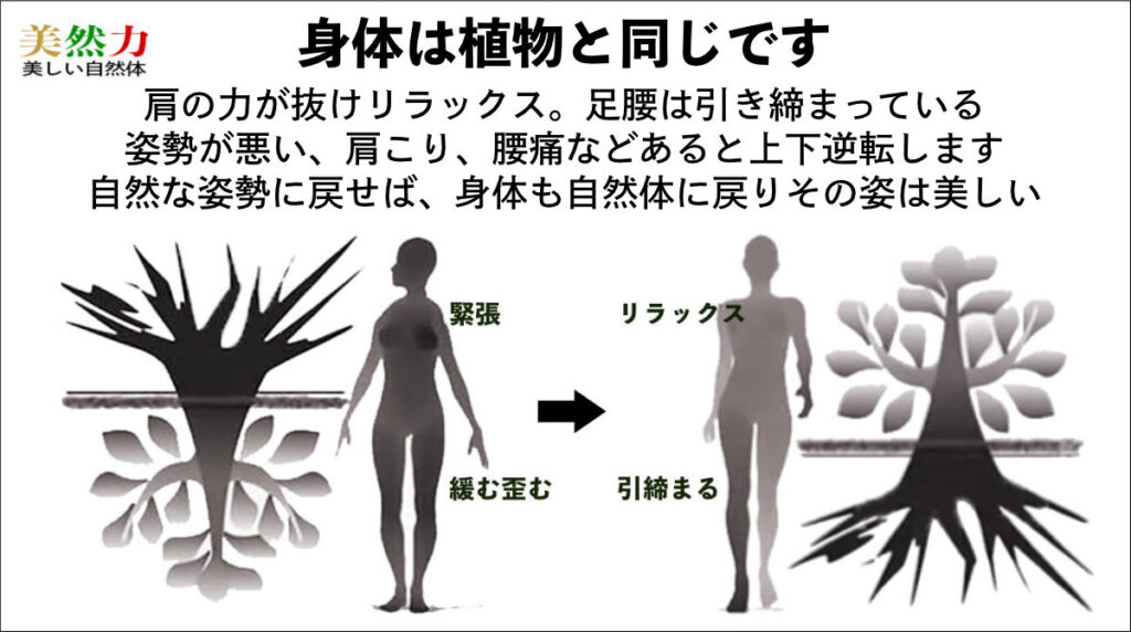 姿勢