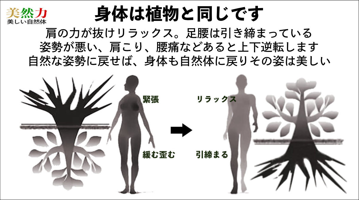 姿勢