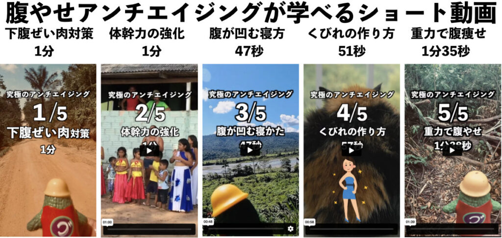 腹やせアンチエイジング